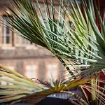 L'Olivier Studio Lumineux Avec Agreable Terrasse