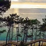Charmant T3 Centre-Ville Arcachon, Plage, Marche, Equipe, 3 Chambres, Aucun Fetes - Fr-1-374-90