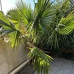 Holidayland 431 Villa T2 Mezzanine Clim 8 Couchages Climatise Narbonne Plage