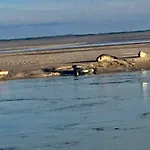 Ma Cour Berck/Mer