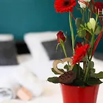 Studio Cosy, Entre Plage Et Commerces