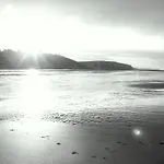 L'Huitriere