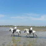 Mas De La Grenouillere Hotel Et Centre Equestre En Pleine Nature