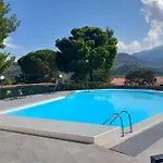 Les Mimosas