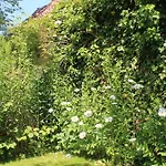 Chambre Du Rouard Le Ruisseau