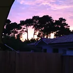 T2 Au Calme Avec Terrasse Sur Le Bassin D'Arcachon