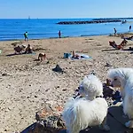 Front De Plage
