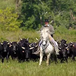 Mas Du Menage En Camargue Manade Clauzel