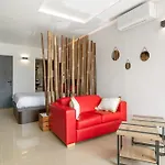 Bambou Heliopolis