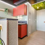 Jungle House Heliopolis