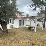 Maison Plain Pied Au Calme Sur Parcelle Arboree