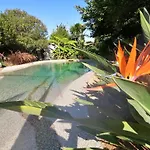 Au Lagon De Thau