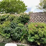 Charmante Maisonnette 4★ A Saint-Martin-De-Re, Proche Du Port Et Plage - Fr-1-544-10