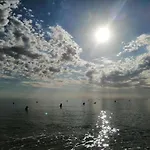 Palm Beach