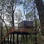 Domos Entre Bosques