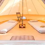 Wolfcamp Surf Moliets