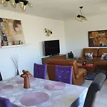 Un Passe Temps Dans Le Sud