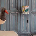 L'Ecrin De L'Arcouest