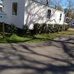 Dejean 178