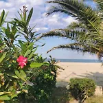 Le Pre Catalan - Piscine Ouverte - En Bord De Mer - Acces Animations - Commerce -Plage
