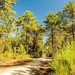 Les Pivoines Maison Climatisee, Proximite Mer, Plages Et Forets