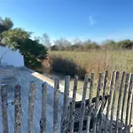 Mas Des Oliviers, Maison Avec Piscine Privative Et Chauffee Locamargue