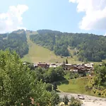 Grand Vane 3