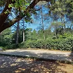 Au Temps Pour Vous