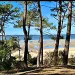 L'Ocean Vue Bassin 1Ere Ligne Plage Pereire Vue Mer