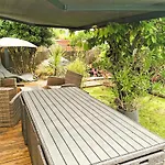 L Oiseau Du Paradis