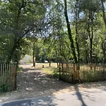 850M De La Plage Maison Neuve Pour 6 En Foret