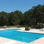 La Cabane - Bassin D'Arcachon - Gujan-Mestras