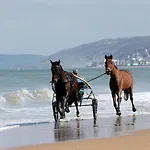 Les Pieds Dans Le Sable