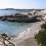 *Tiny Jungle* / Plage, Port Et Commerces A Pied
