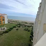 Studio Tout Equipe Avec Vue Mer, Parking Et Animaux Admis A 50M De La Plage - Fr-1-799-43