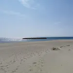 Le Barcares, Studio Pour 2, Terrasse, Parking, Animaux Bienvenus, Acces Direct Plage - Fr-1-799-1