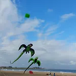 Le Colibri
