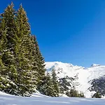 Les Chalets De Flaine Hameau - Maeva Home - Chalet 5 Pieces 8 Personnes - Confort Mae-3661