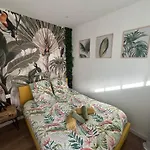 Studio Jungle - Hyper Centre Lorient
