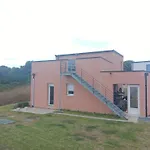 Kub