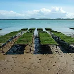 Camping Routes Du Monde Atc Saint-Pierre D'Oleron