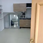 Grand Appartement