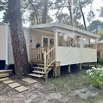 La Cabane Des Pins