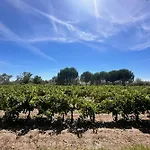 Gite De La Cave - Charmant Gite Provencal Avec Une Chambre
