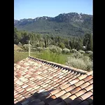 Mourvedre