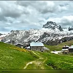 L'Hysope