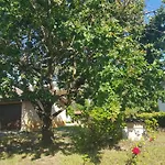 Villa Magis
