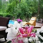 Cap Ferret Villa Grand Chalet Bois