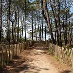 Maison Familiale Au Milieu Des Pins A Biscarrosse - 6 Pers, 300M Du Lac, Menage Inclus - Fr-1-319-573
