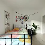 City Colorful Flat